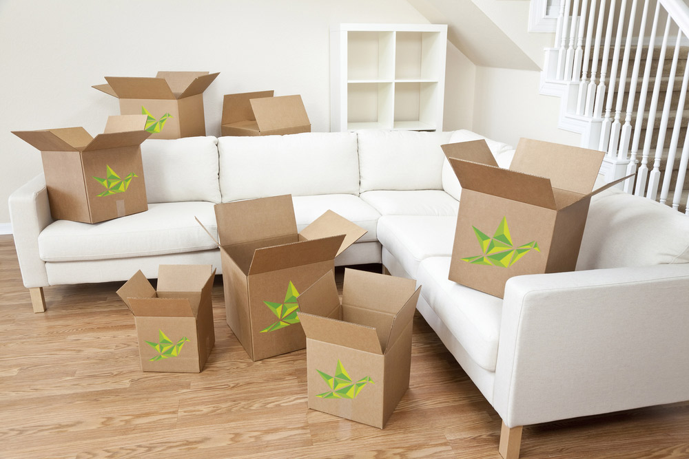 Whybirds Removals and Storage